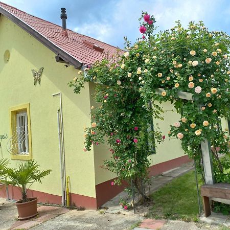 Arnyas Park Apartmanhaz Bed & Breakfast Balatonalmádi Dış mekan fotoğraf